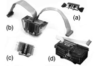 NipBelfort-Fig5
