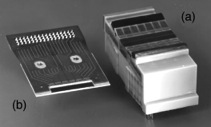 NipBelfort-Fig6